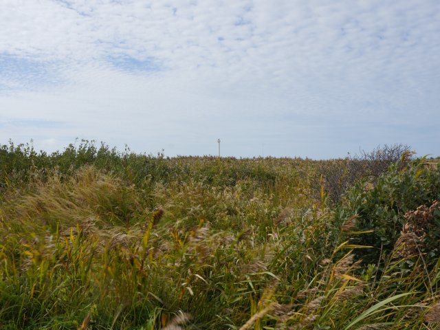 Tur til Jylland Sep. 2020